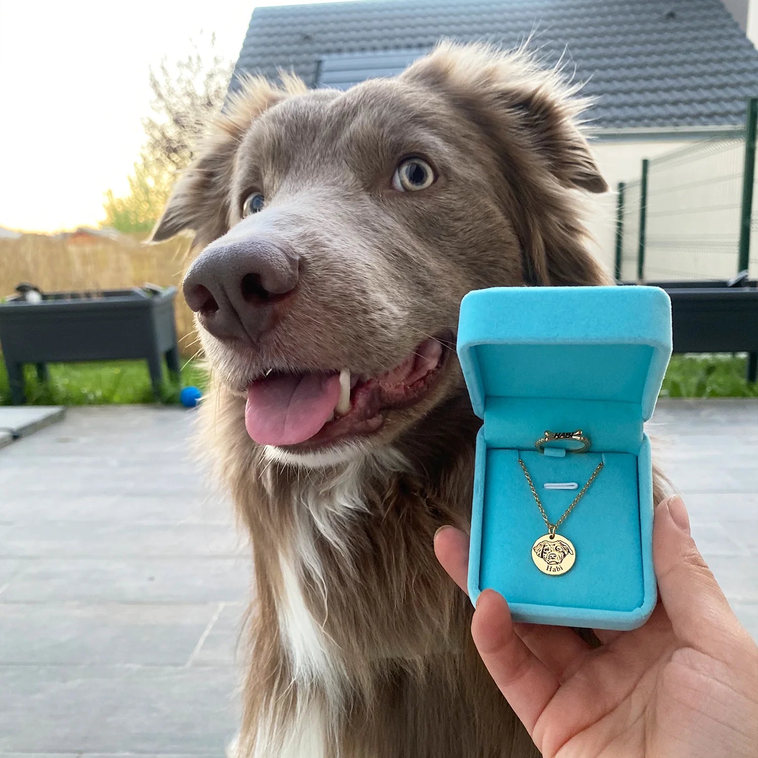 Collier Portrait de Compagnon™ + 1 Collier Offert