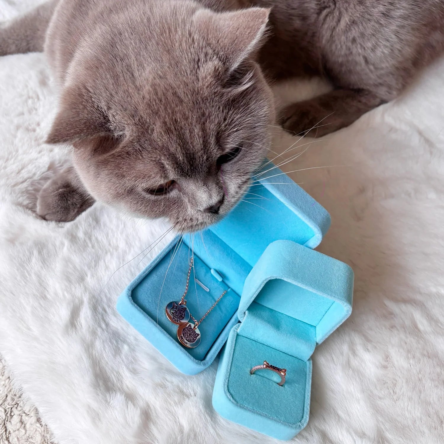 Collier Portrait de Compagnon™ + 1 Collier Offert