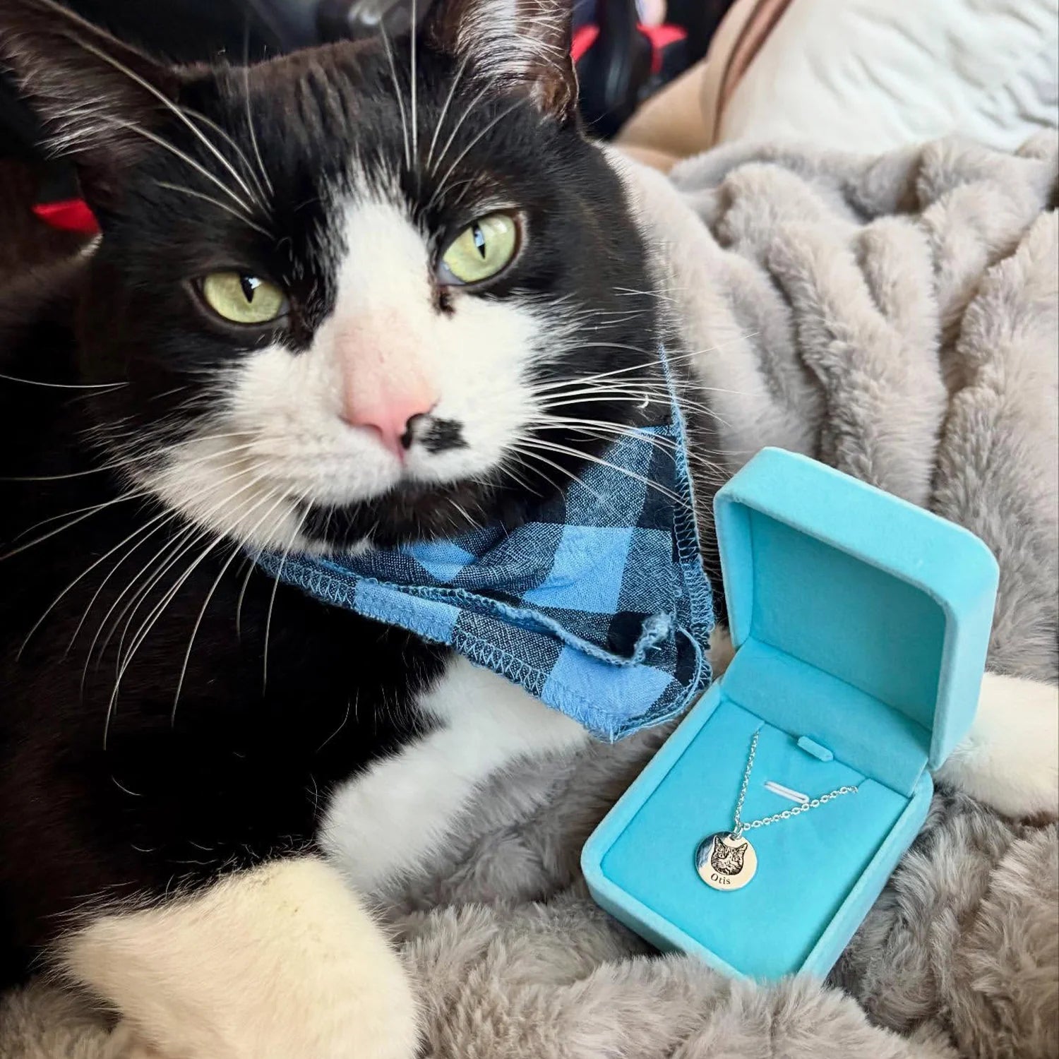 Collier Portrait de Compagnon™ + 1 Collier Offert