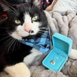 Charger l'image dans la galerie, Collier Portrait de Compagnon™ + 1 Collier Offert
