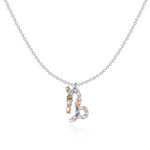 Charger l&#39;image dans la galerie, Collier &quot;Signe du Zodiaque&quot; ~ Argent Sterling
